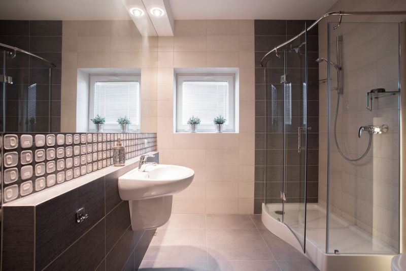 Glass Shower Door with Frosted Panels